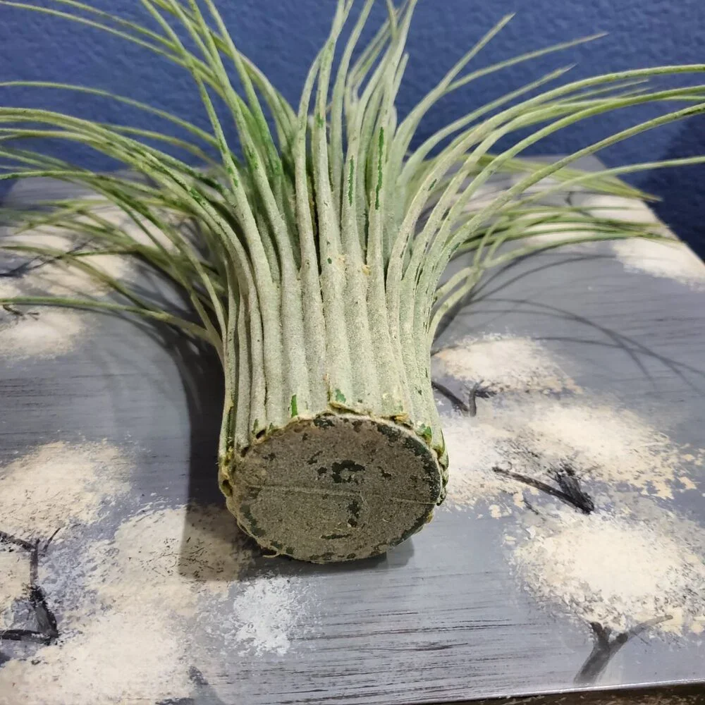 Artificial Grass Vases, Set of Two, Rare Vintage
